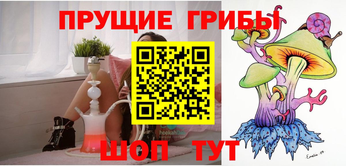 Бузулук  сколько стоит  Вход с VPN  Псилоцибиновые грибы Psilocybine cubensis 